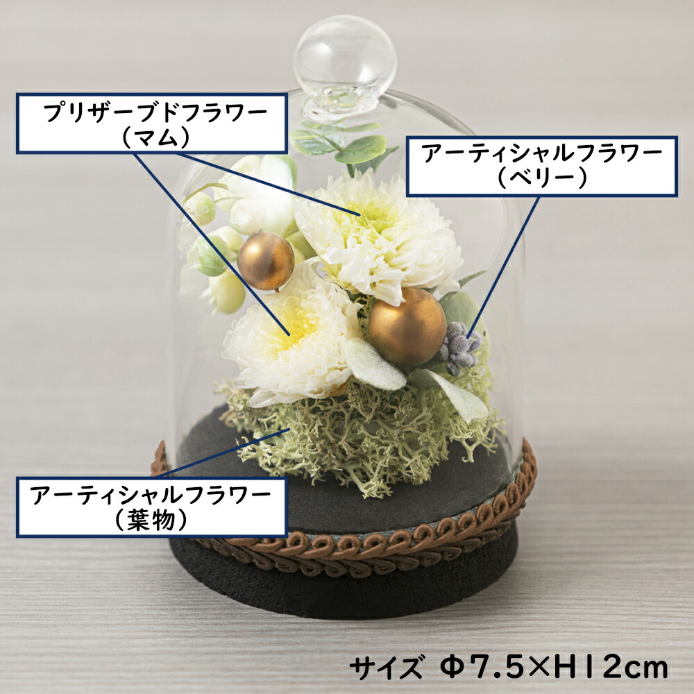 商品説明2