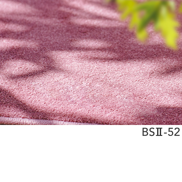 アスワン Wall to Wall オーダーカーペット アスブルース2（BS2-05・65・98・52）ヨコ231〜250cm×タテ391〜420cm_1