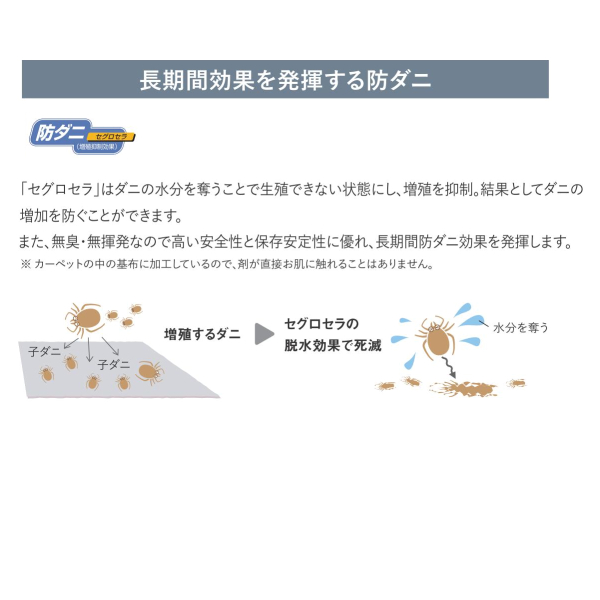 アスワン Wall to Wall ウール100% ファブリーズ消臭・抗菌オーダーカーペット アスデイジー（DSY-05・95・11・75）ヨコ231〜250cm×タテ311〜330cm