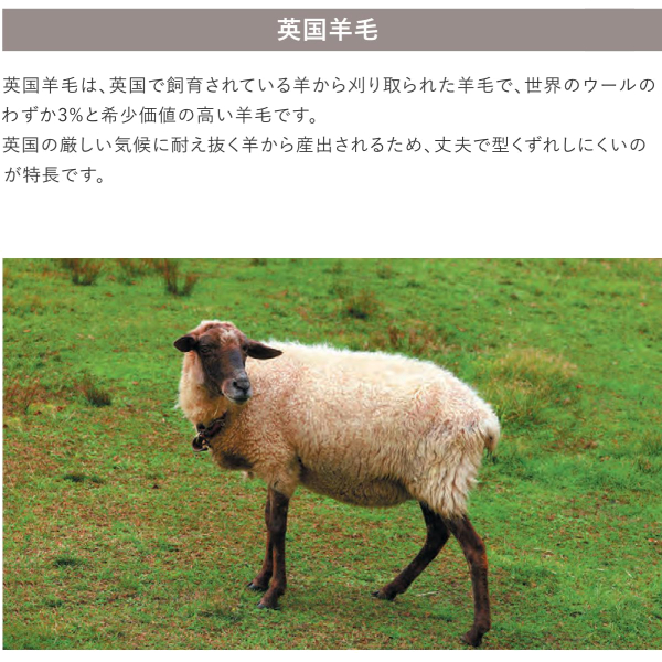 アスワン Wall to Wall ウール100%オーダーカーペット アスシーズン（SZN-05・65・85・88）ヨコ311〜330cm×タテ391〜420cm