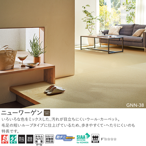 アスワン Wall to Wall ウール100%オーダーカーペット ニューワーゲン（GNN-62・65・23・38）ヨコ231〜250cm×タテ231〜250cm