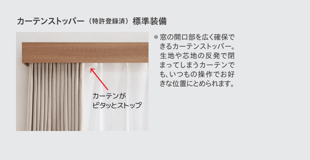 電動カーテンレール タチカワ ホームタコス トリーチェ 連動ダブル