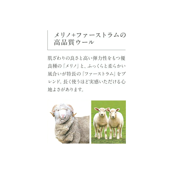 アスワン Wall to Wall メリノウール+ファーストラムウールオーダーカーペット アスメロディ2（MDY-02・65・93・33）ヨコ130〜150cm×タテ421〜450cm