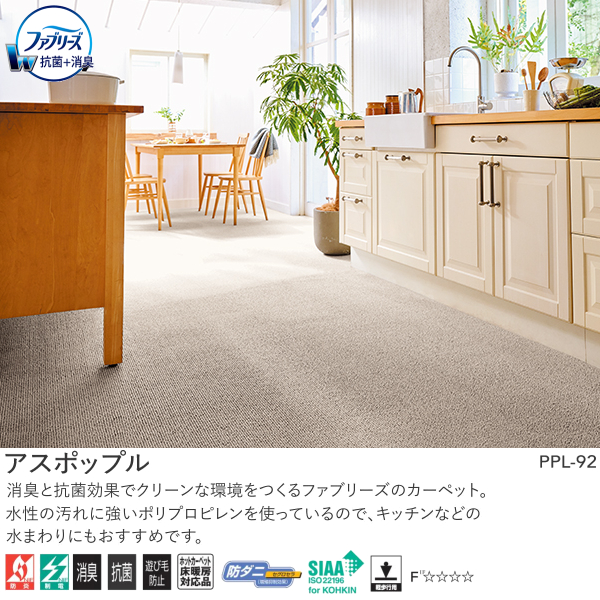 アスワン Wall to Wall ファブリーズ消臭・抗菌オーダーカーペット アスポップル（PPL-05・92・45）ヨコ291〜310cm×タテ421〜450cm