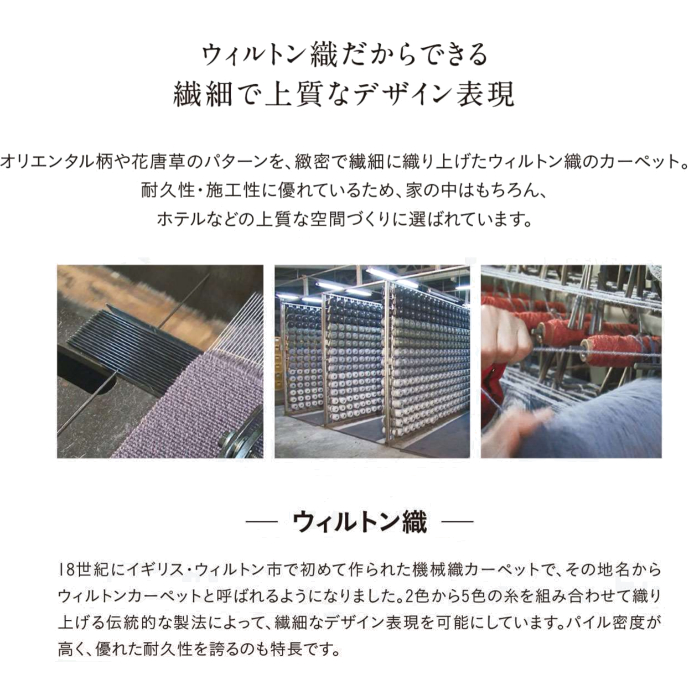 カペイシャス カラフルドリ ウィルトン織ラグ(...の詳細画像4