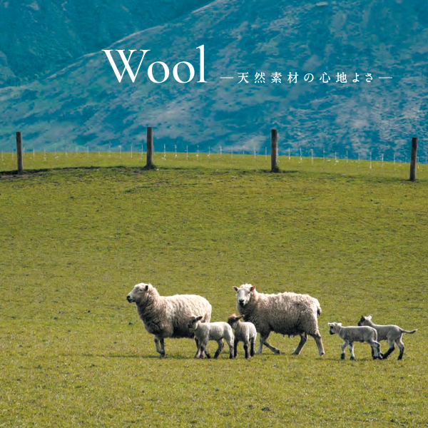 アスワン Wall to Wall ウール100%オーダーカーペット ニューワーゲン（GNN-62・65・23・38）ヨコ311〜330cm×タテ171〜190cm_8
