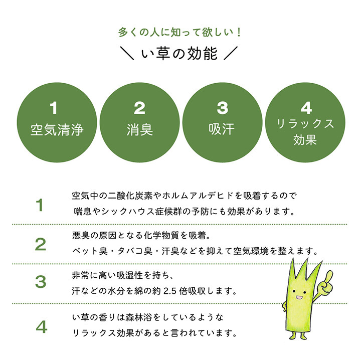 イケヒコ 七島い草 円形 クッション い草 座布団 い草手編み円座