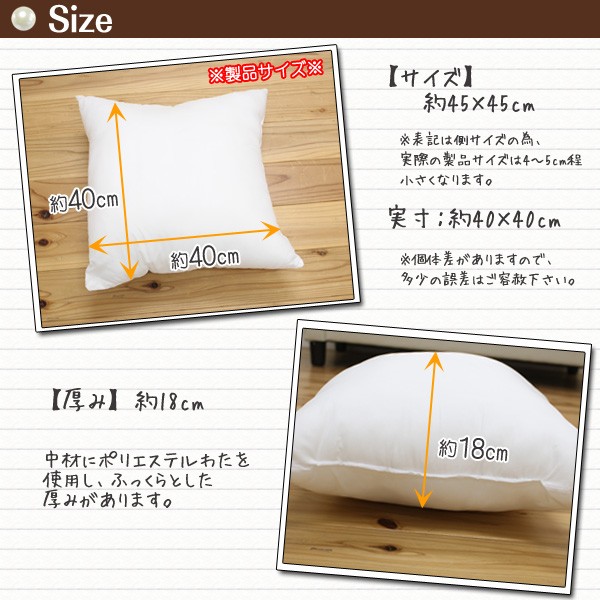 イケヒコ ヌードクッション 背あてクッションタイプ 約45×45cm