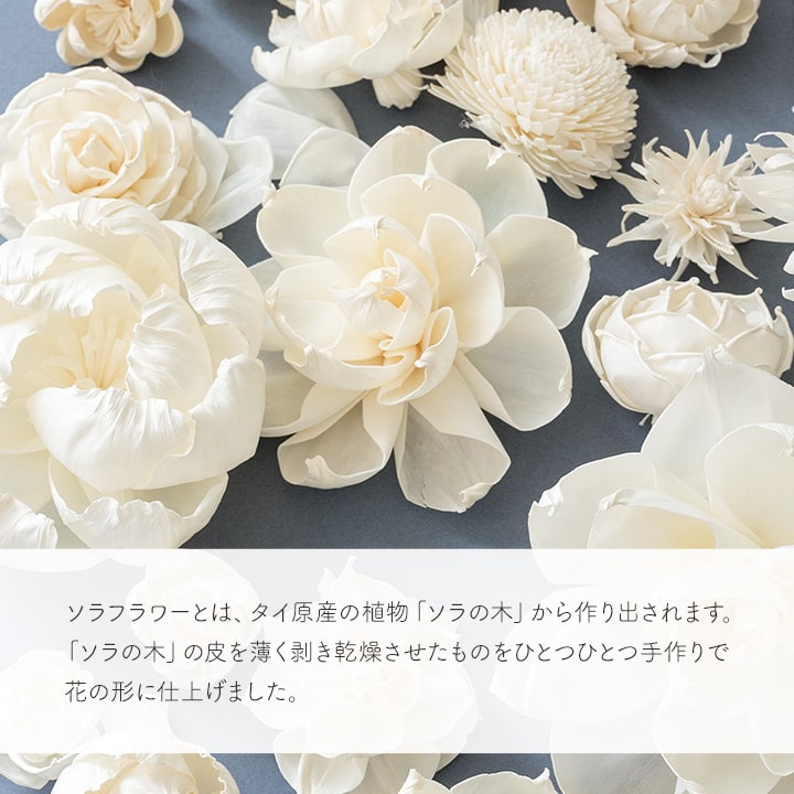 母の日 2026 フラワー ギフト 花 ソラフラワー シングルステム 一輪
