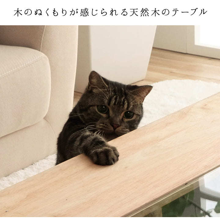 猫家具 センターテーブル 80×80cm ローテーブル ネコ おしゃれ 猫と