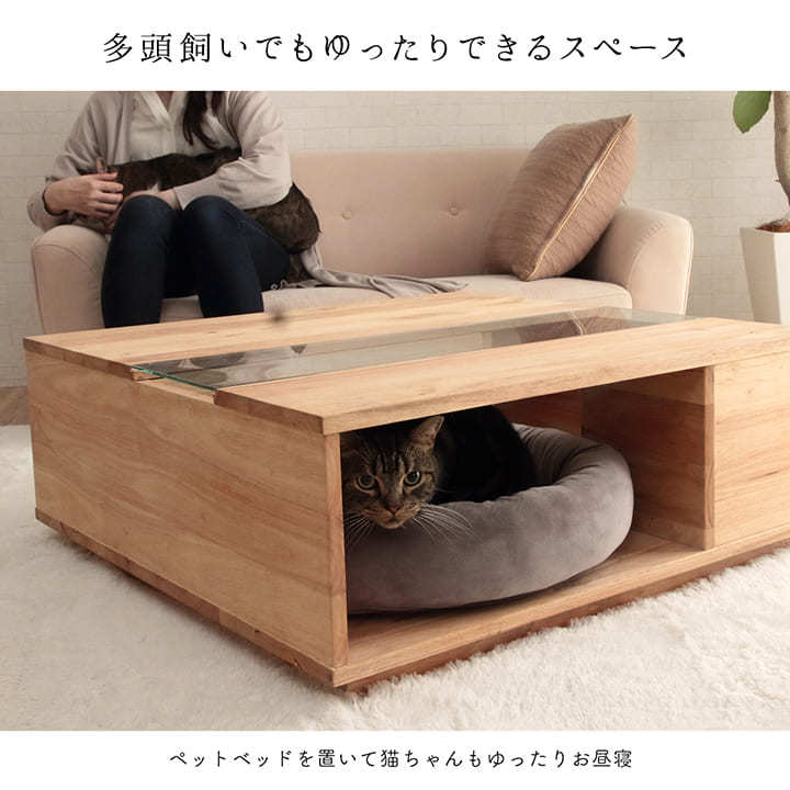 猫家具 センターテーブル 80×80cm ローテーブル ネコ おしゃれ 猫と一緒 ねこ ガラス 正方形 引き出し 収納 新生活 新生活