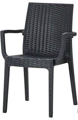 椅子 チェア ガーデンチェア 庭 イタリア製 屋外 アウトドア シンプル ラタン ステラ  肘付き 2脚 fbc｜i-s｜02