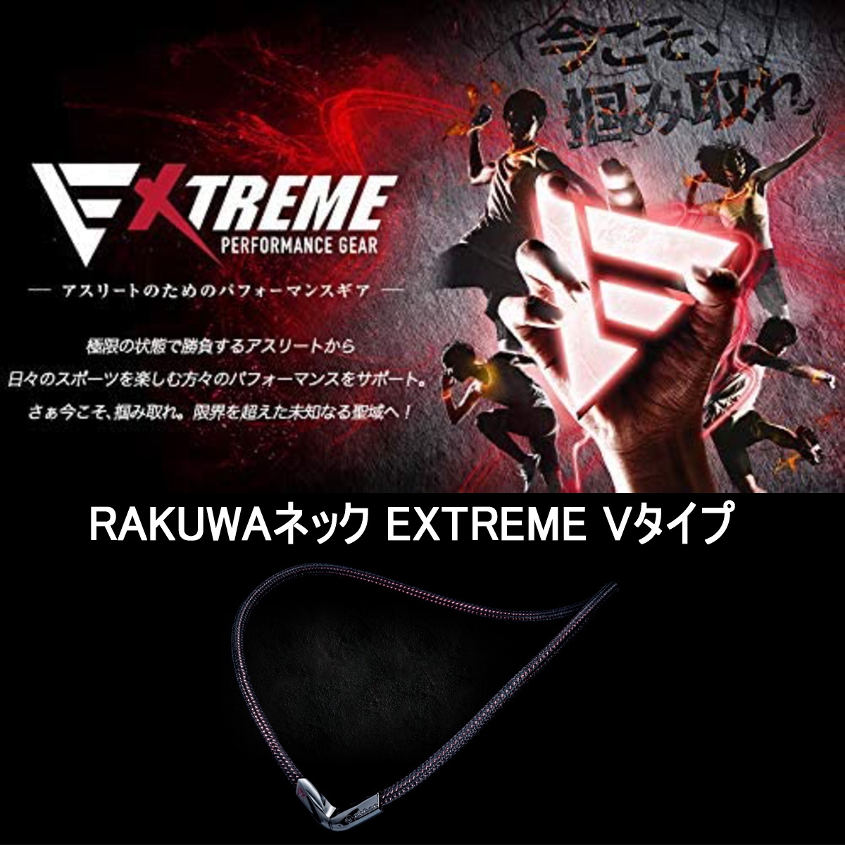 ファイテン(phiten) ネックレス 0218TG786053 RAKUWAネック EXTREME V