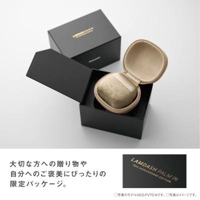 ラムダッシュ パナソニック パームイン 70th ANNIVERSARY EDITION 5枚
