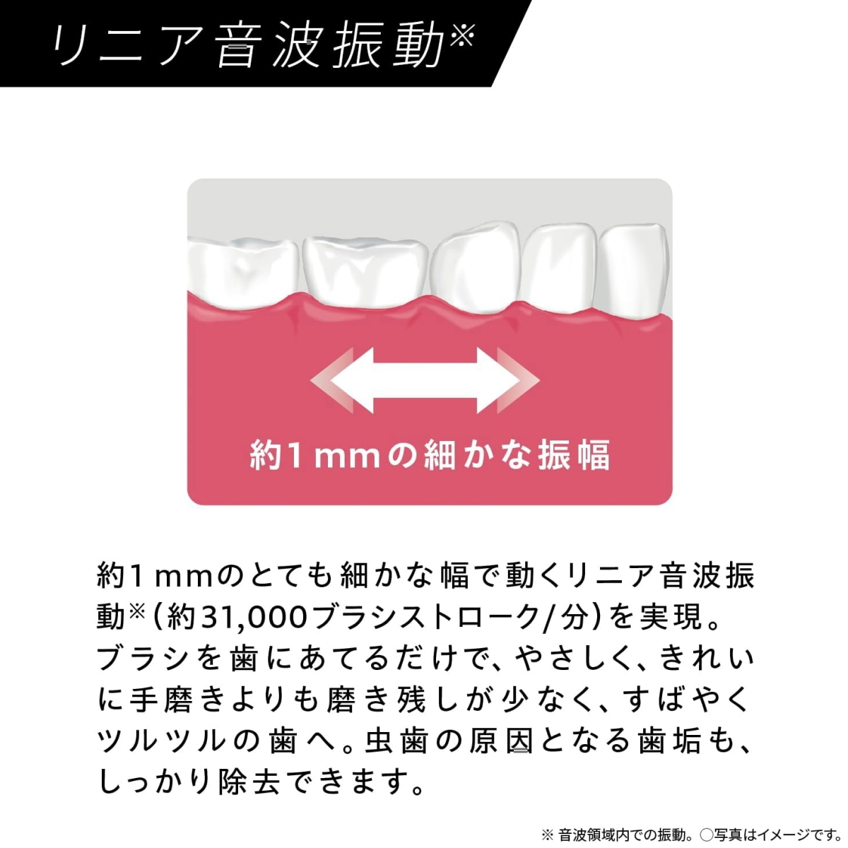 Doltz パナソニック 音波振動ハブラシ ドルツ EW-DL39-W 白