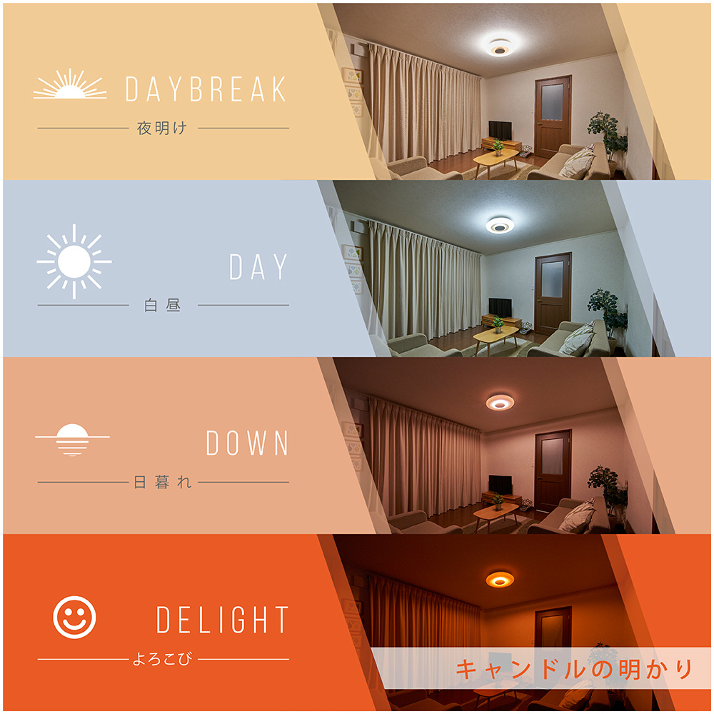 Luminous LED sunny D 8畳用 間接照明付 LEDシーリングライト ルミナス