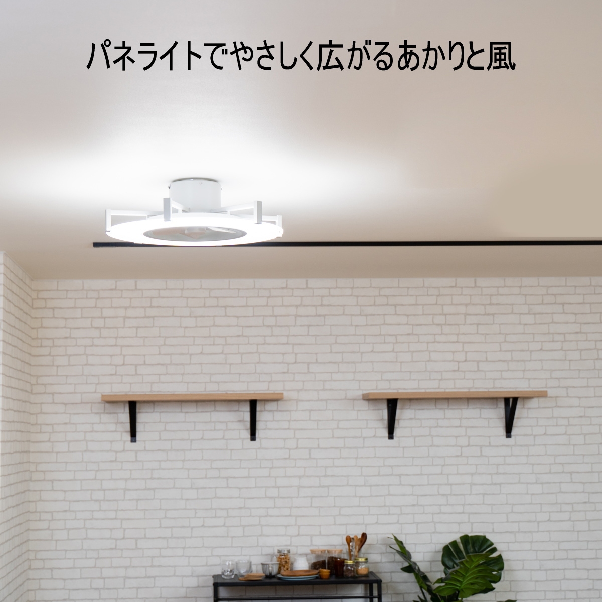 JAVALO ELF ジャヴァロエルフ パネライトサーキュレーター JE-ZC001 6