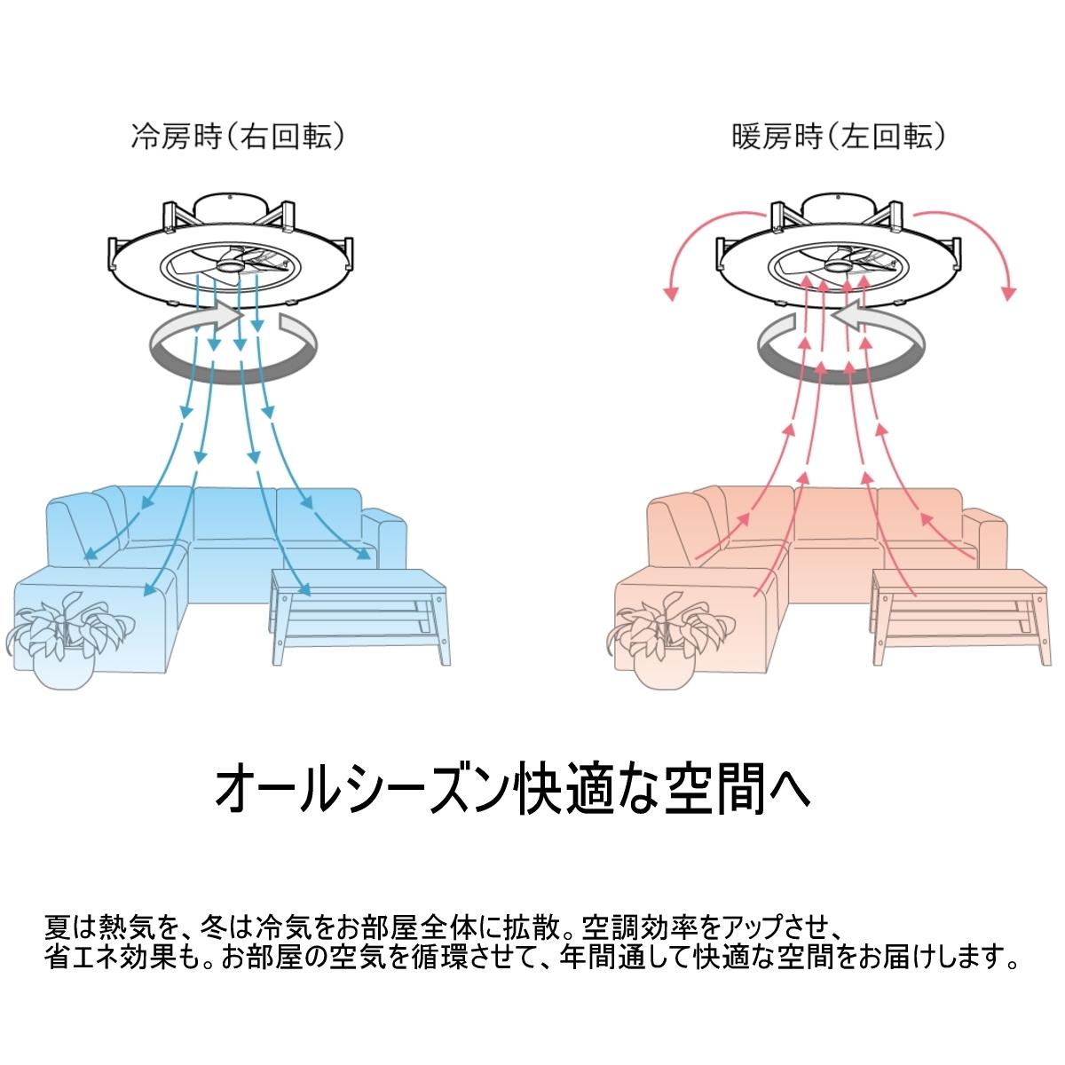 JAVALO ELF ジャヴァロエルフ パネライトサーキュレーター JE-ZC001 6