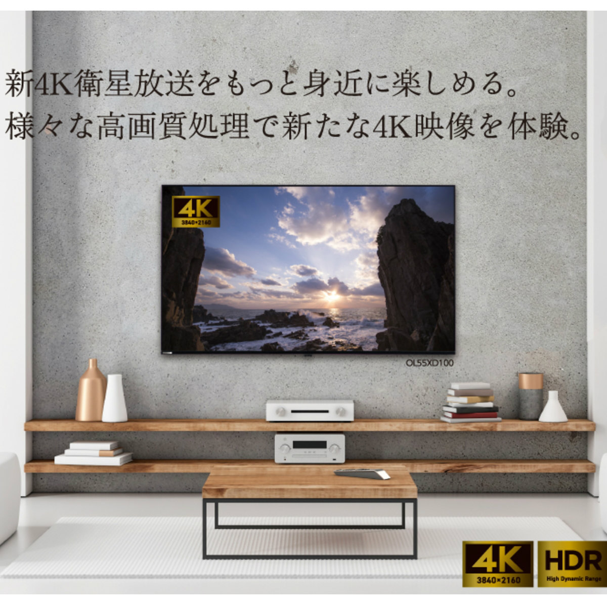 名作 n_nn様専用 55V型4Kチューナー内蔵液晶テレビ ORION製 econet.bi