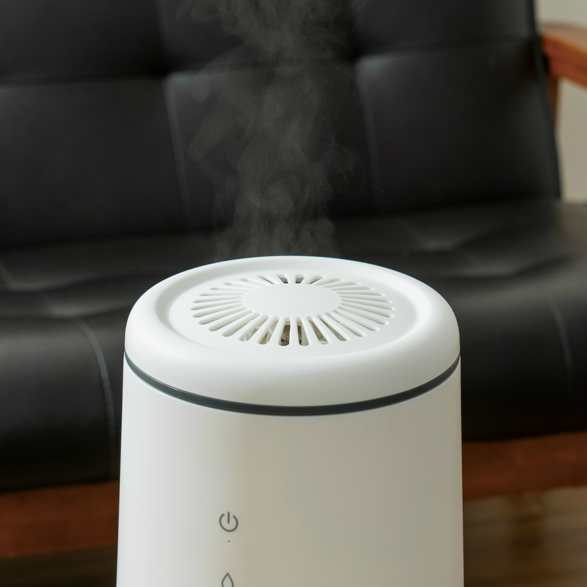 plus more プラスモア 倒れてもこぼれにくいスチーム式加湿器 PBAHF005