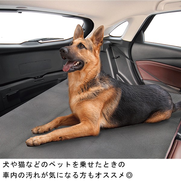 20191001-mat_3.jpg