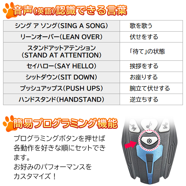 20201222-inu_4.jpg 20201222-inu_4.jpg