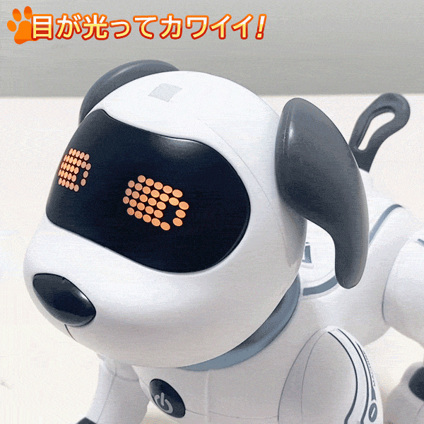 20201222-inu_6.jpg