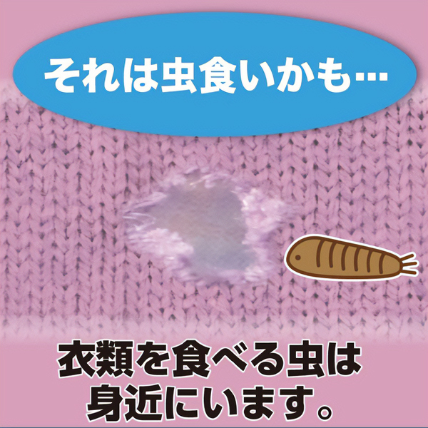 ムシューダ 衣類 防虫剤 3個入り 1年間有効 日本製 エステー ウォーク