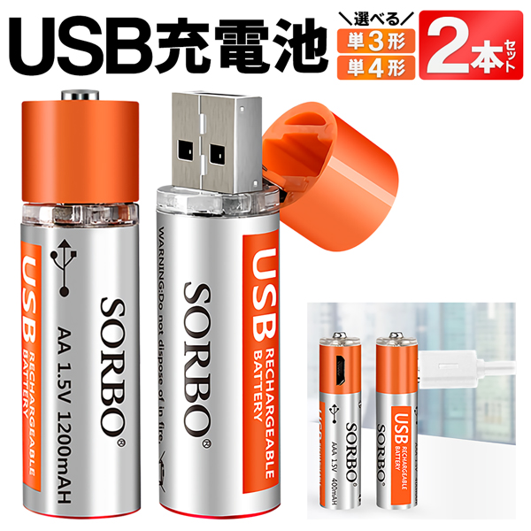送料無料/規格内 充電池 2本セット USB直結 超寿命 ハイパワー