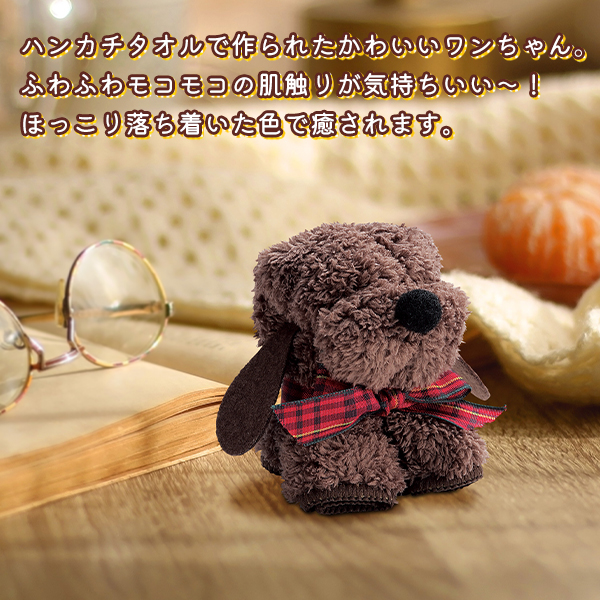 20230525-dog_1.jpg