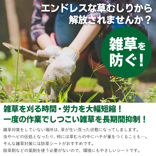 防草シート 1m×50m 農用シート 除草 5m 10個セット シート押さえ ピン