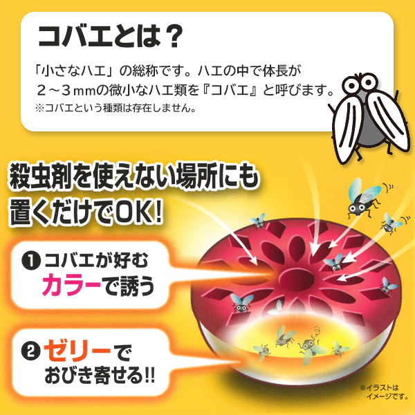 tanrie黄土でコーティングした煙の出ないもぐさ30個×5新品未使用 無煙灸/黄土でコーティングした煙の出ないもぐさ30個 新品未使用
