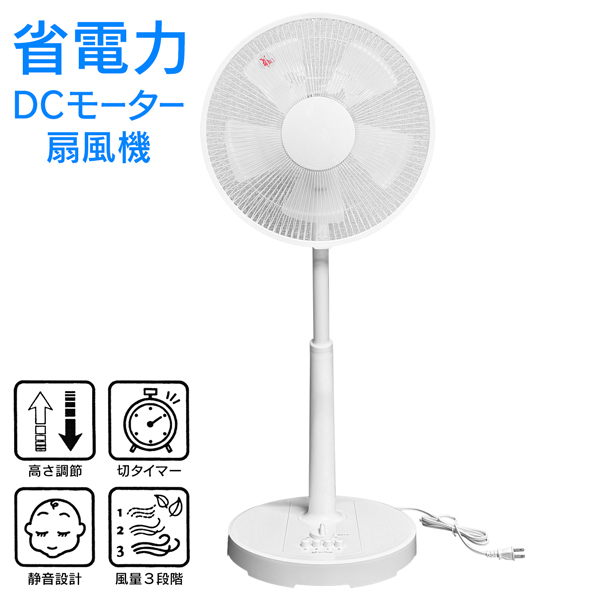 DCモーター リビング扇風機 30cm羽根 タイマー DC 省エネ 静音 自動首