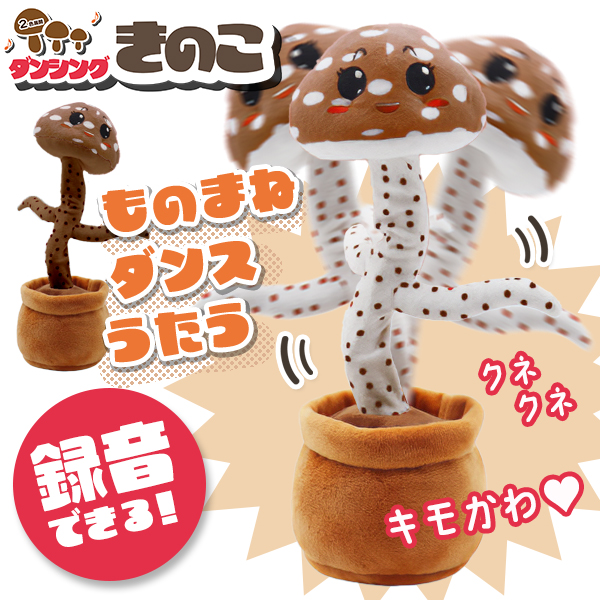 20240822-kinoko_6.jpg