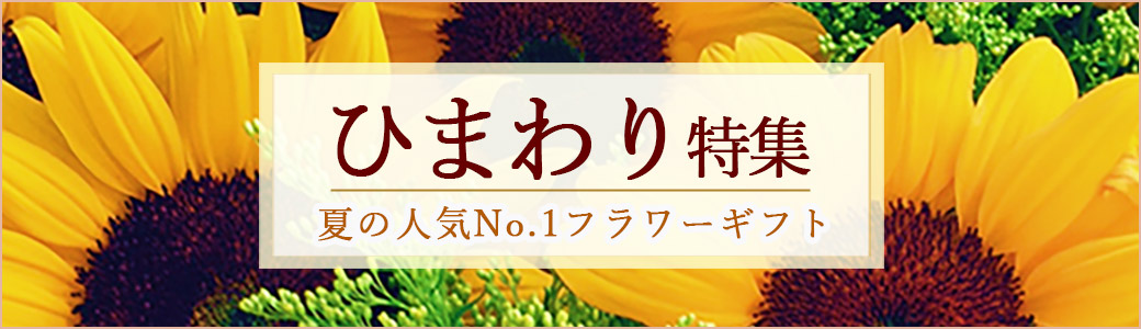 ひまわり特集