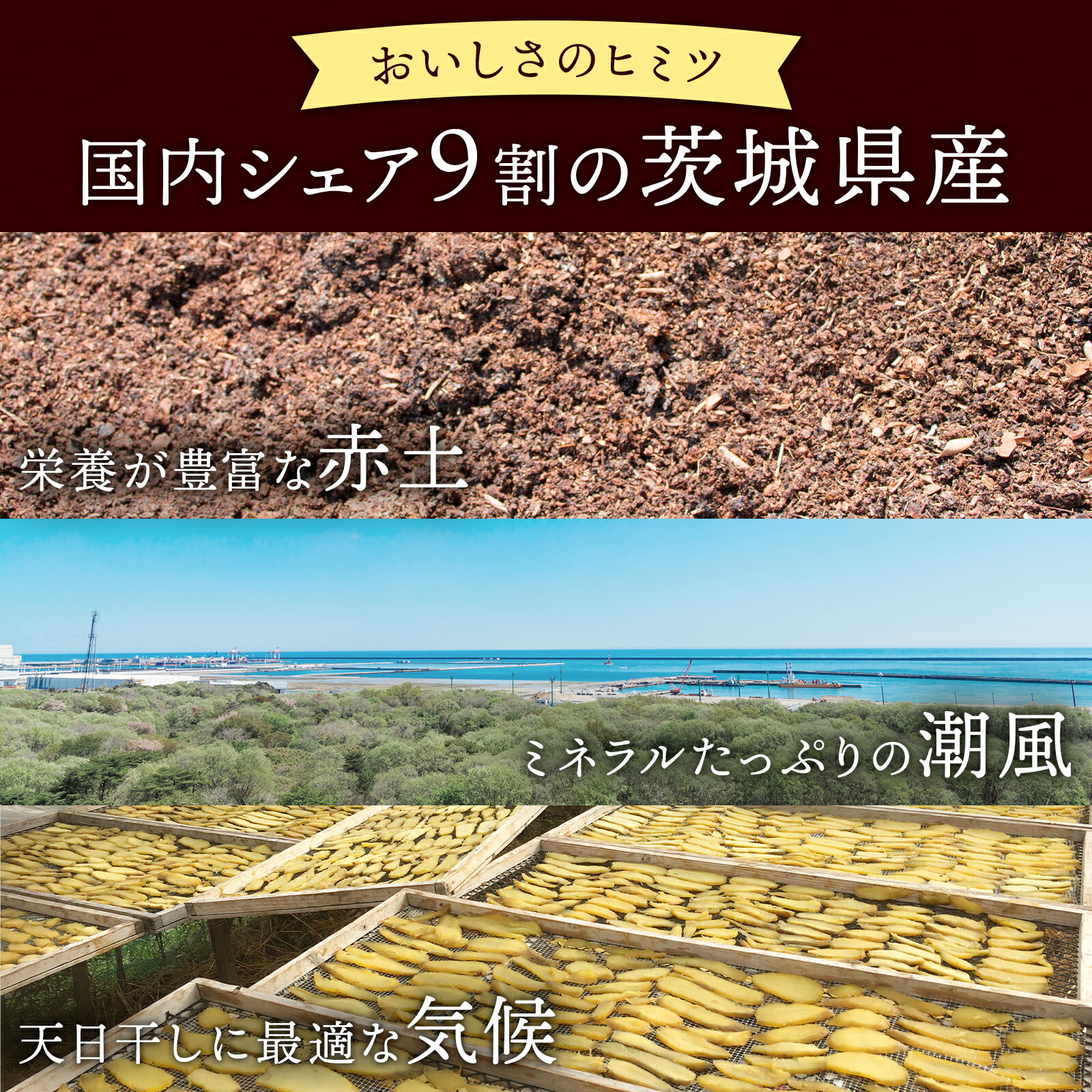 いずみ 平干し 干し芋 国産 茨城県産 訳あり...の詳細画像5