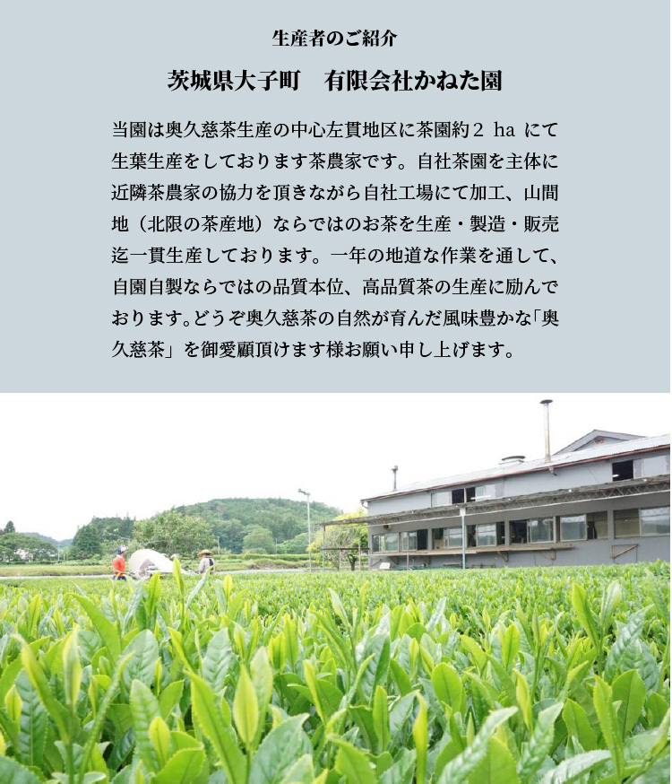 30%OFFクーポン対象】奥久慈新茶 (有)かねた園 深蒸し 特上煎茶