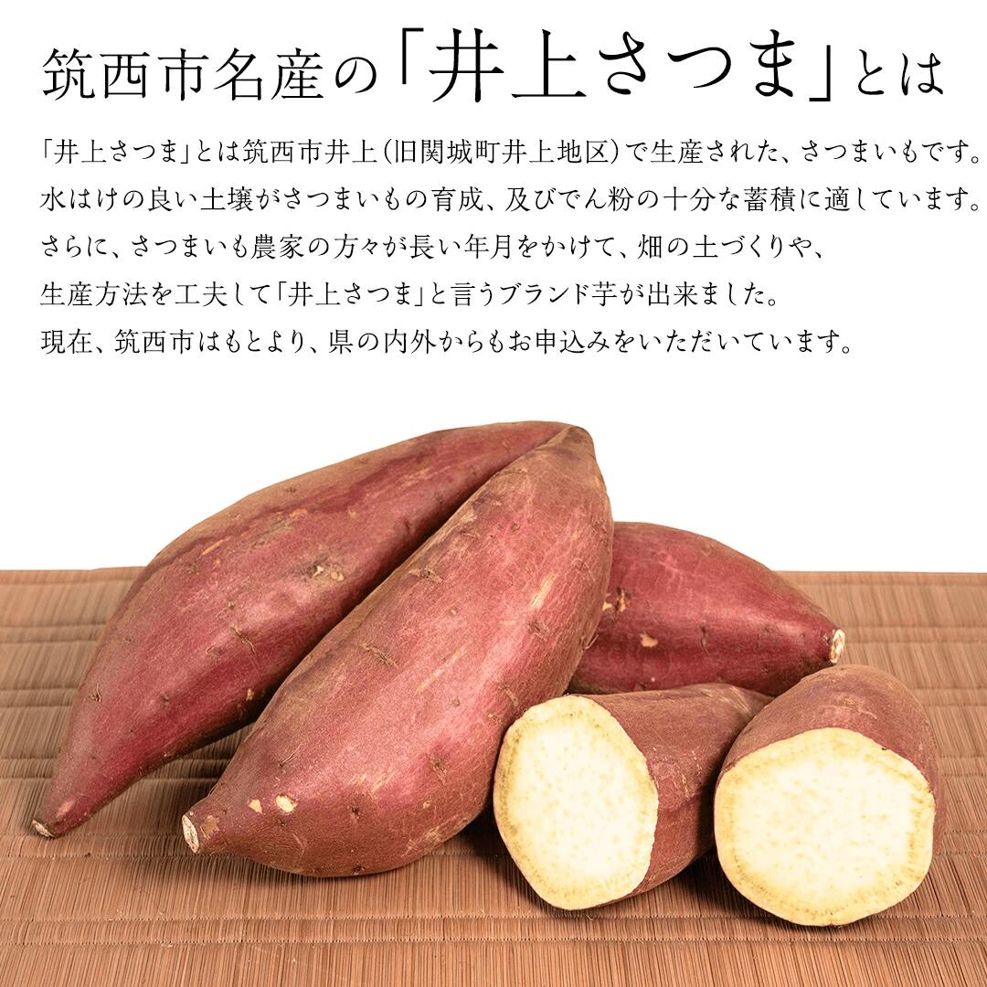 塚田商店 ＼期間限定／訳あり 井上さつま シルクスイート 5,000g