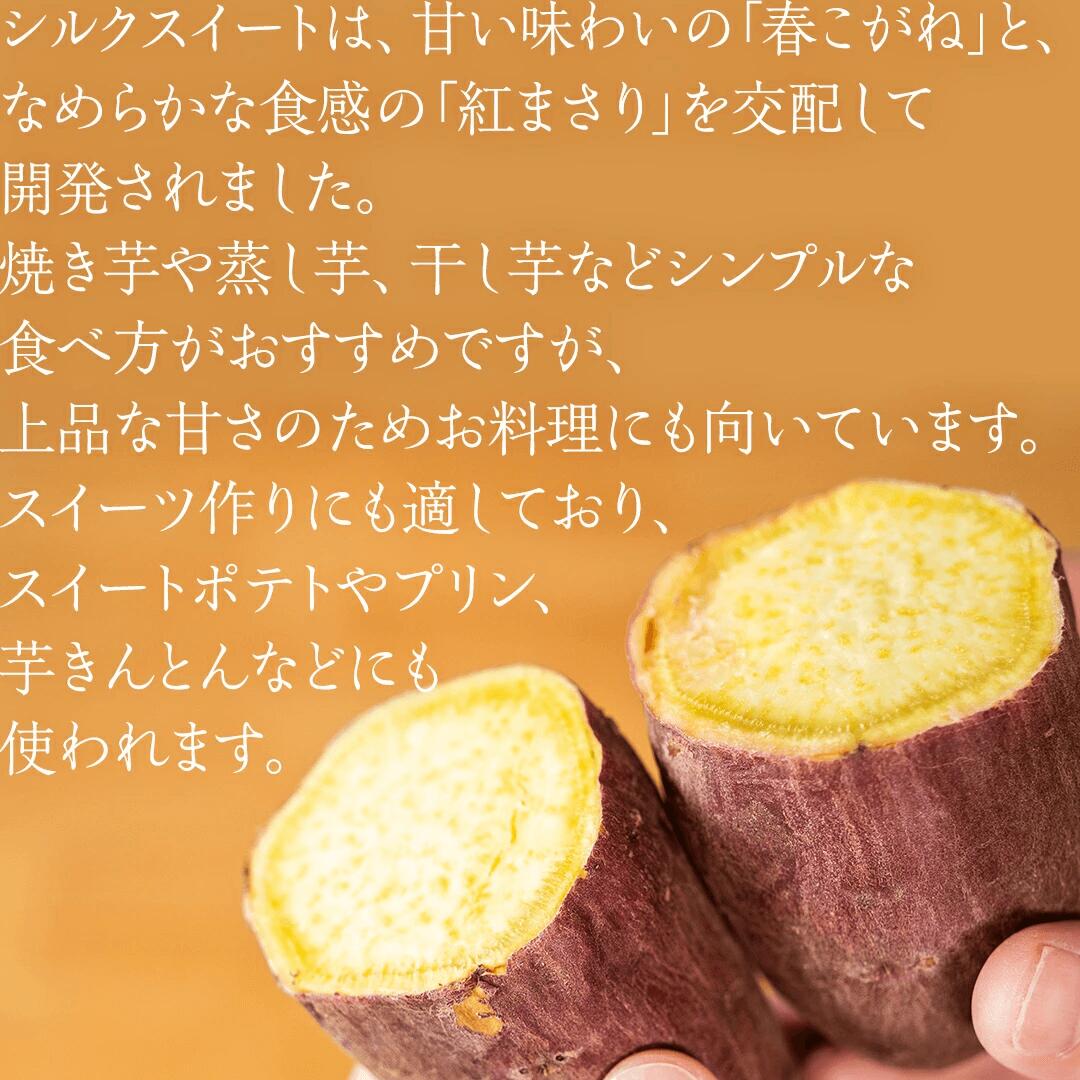 塚田商店 ＼期間限定／訳あり 井上さつま シルクスイート 5,000g