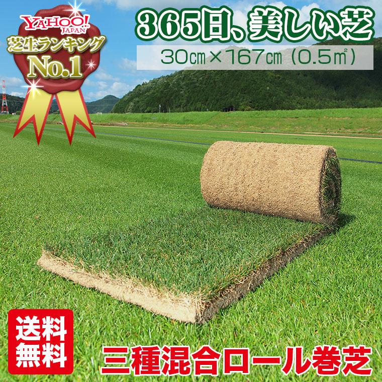芝生 天然芝 三種混合ロール巻芝 (芝生 通販)｜iberia｜02