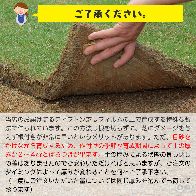 ご了承ください