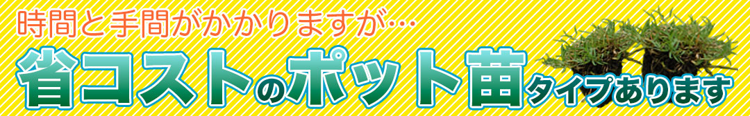 ポット