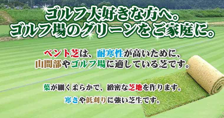 365日、美しい芝　三種混合芝は、冬の間も枯れることなく１年中緑の芝を楽しめます。オフシーズンがないので、１年中施工OK。美しさにも自信があります。