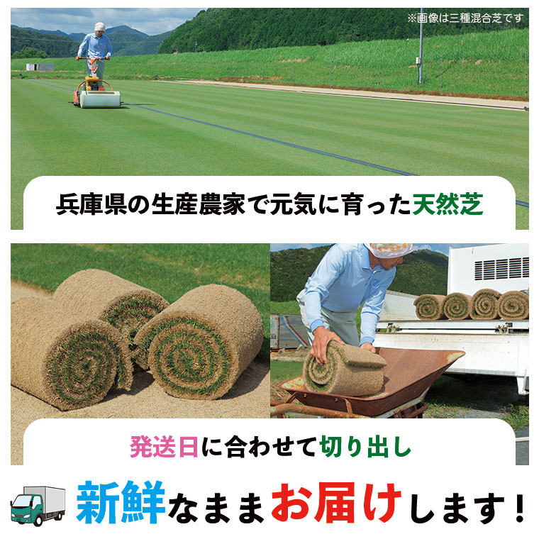 兵庫県の生産農家から発送