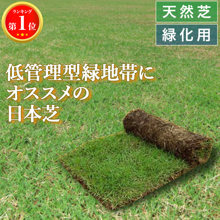 芝生 天然芝 野芝(ノシバ) ロール巻 (芝生 通販)｜iberia