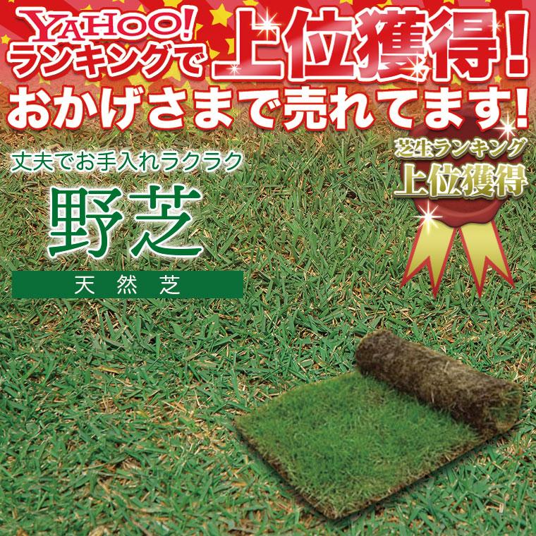 芝生 天然芝 野芝(ノシバ) ロール巻 (芝生 通販) :101000:イベリアの太陽 - 通販 - Yahoo!ショッピング