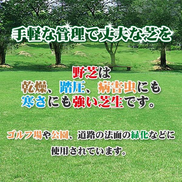 芝生 天然芝 野芝(ノシバ) ロール巻 (芝生 通販)｜iberia｜04