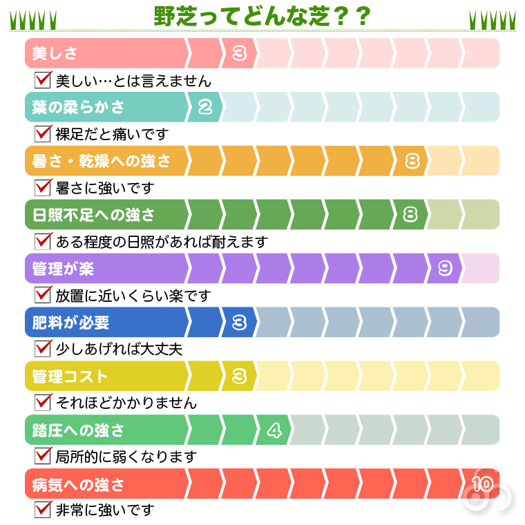 野芝ってどんな芝？