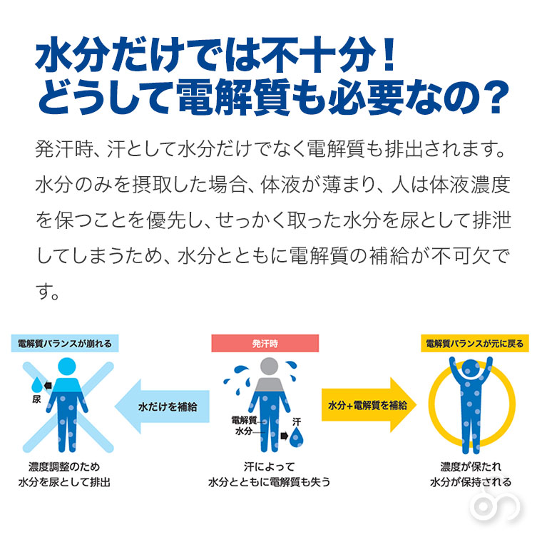(レビュー特典あり) 五洲薬品 水分補給パウダ...の詳細画像3