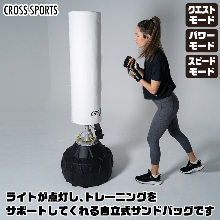 CROSS SPORTS 光る! ファイティングバッグPRO サンドバッグ